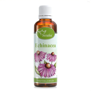 echinacea
