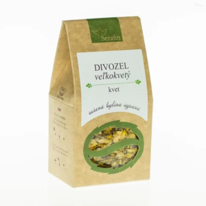 divozel veľkokvetý kvet