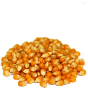 kukurica pukancová 100g