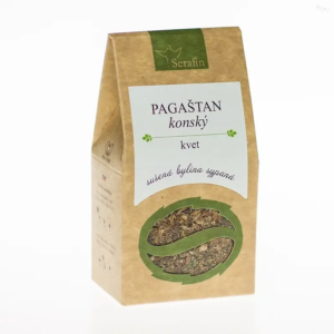 pagaštan konský kvet