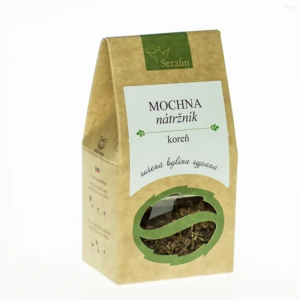 mochna nátržník koreň