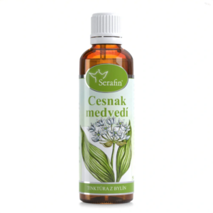 cesnak medvedí