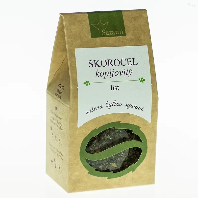 skorocel kopijovitý list skorocel kopijovitý list