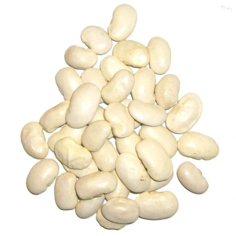 fazuľa biela, veľká /maslová/ 100g fazuľa biela, veľká /maslová/ 100g