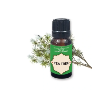 tea tree (čajovník) olej bez hraníc