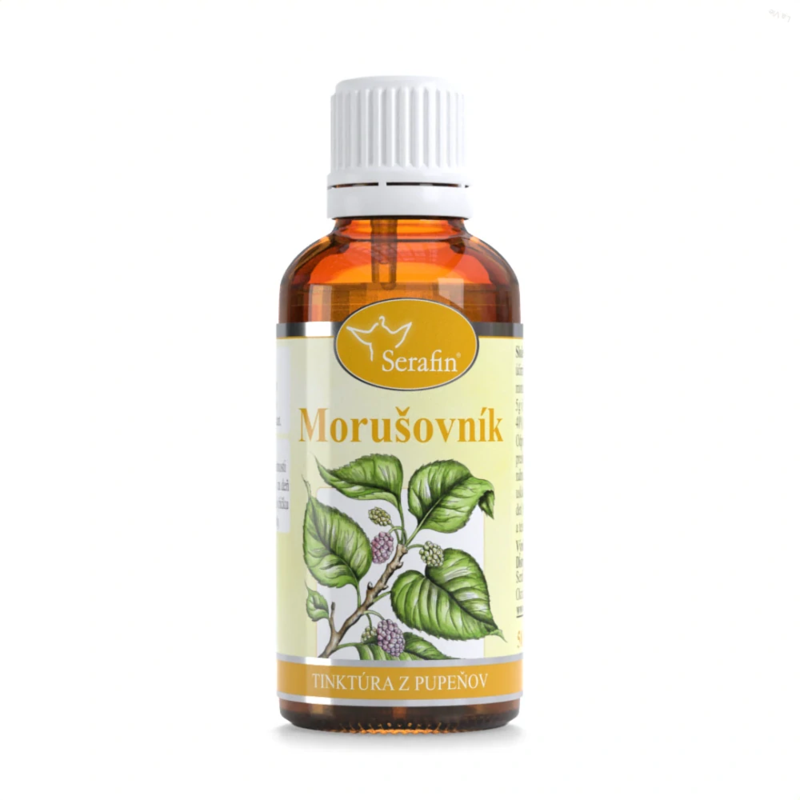 morušovník morušovník