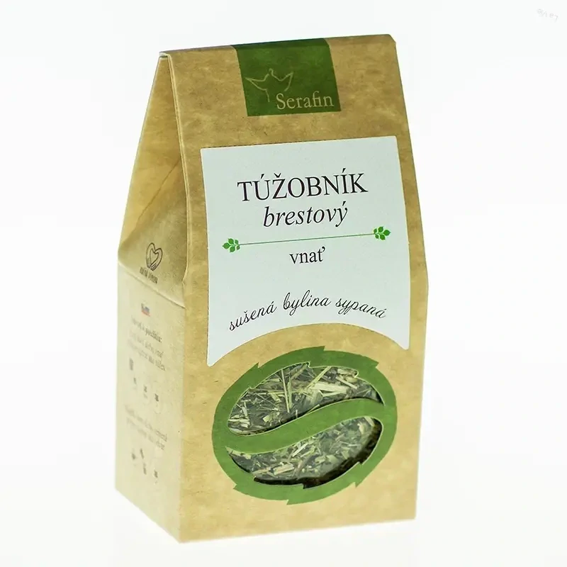 túžobník brestový vňať túžobník brestový vňať