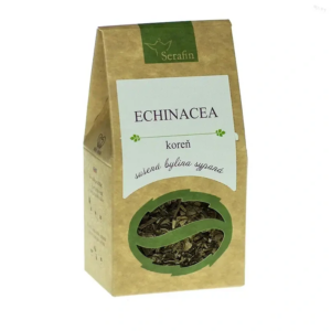 echinacea purpurová koreň