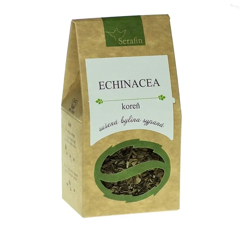 echinacea purpurová koreň echinacea purpurová koreň