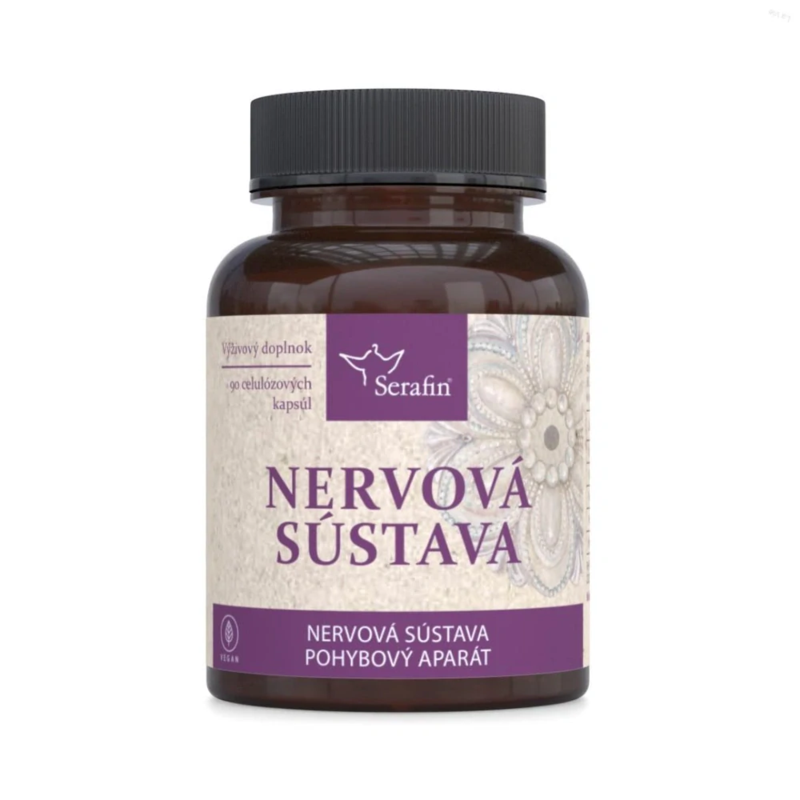 nervová sústava nervová sústava
