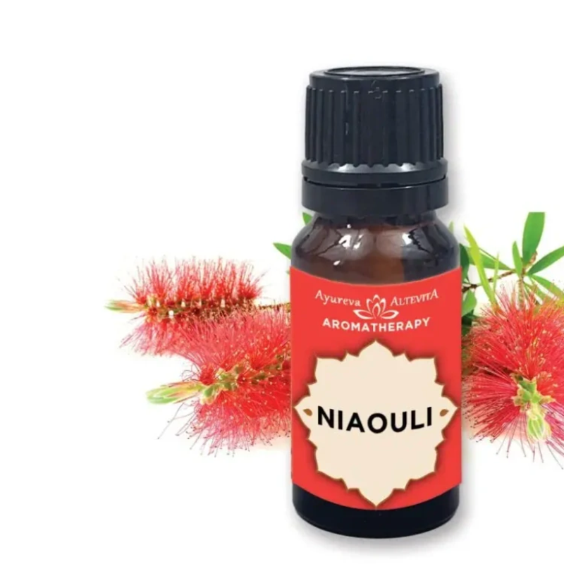 niaouli olej revitalizácie niaouli olej revitalizácie